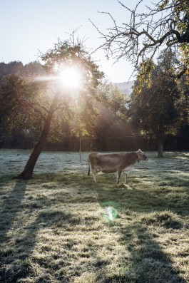 Unsre wilde Farm, Bio-Hof mit Hof-Lädele in Lochau.